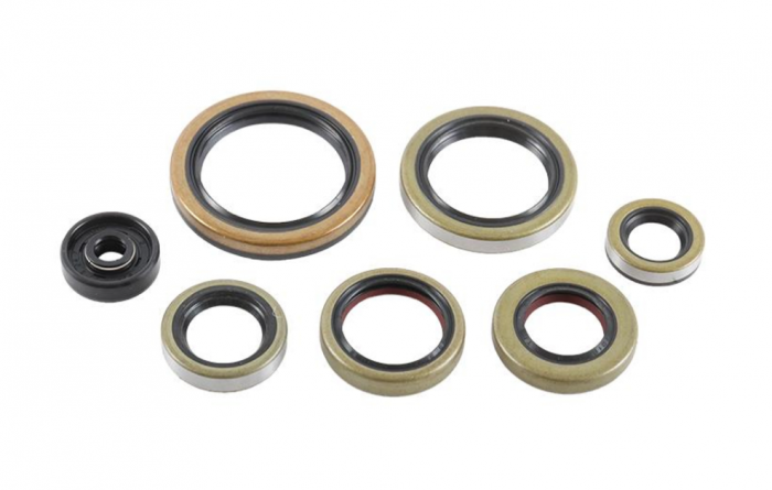 Set simeringuri motor KTM SX 250 '16-'22, XC 250 '17-'22, XC 300 '17-'22, XC-W 250 '17-'22, Husqvarna TC 250 '17-'22 , Gas Gas EC/MC 250/300 '21-'22 [1]