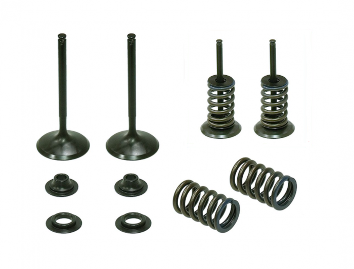 Set supape otel admisie Honda CRF 450 R '02-'08, TRX 450 R/ER '06-'14 (include arcuri si talere) XU-09502IK [1]
