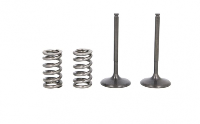 Set supape admisie + arcuri YAMAHA YZ 450 F 2010-2013 [1]