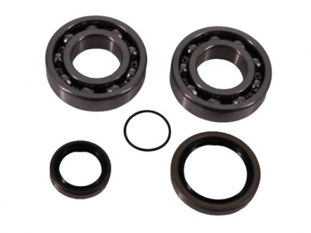 Motor - Kit rulmenti ambielaj Beta RR 250/300 '13-'22 (NTN) Enduro Expert 226773EE