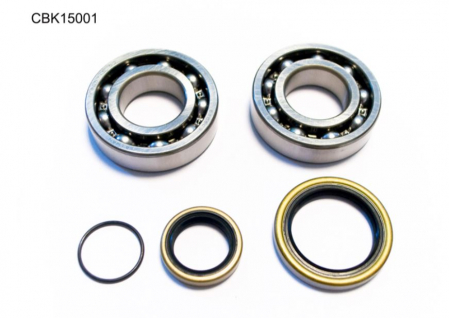 Motor - Set rulmenti plus simeringuri ambielaj Beta 2T 250/270/290/300 250/300 RR '13-'17 NTN