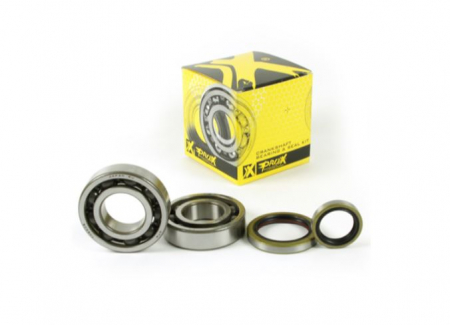 Motor - rulmenti ambielaj beta rr
