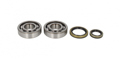 Piese motor - Set rulmenti ambielaj Suzuki RM 250 '96-02 Allballs 24-1021