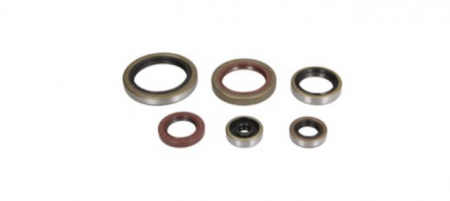 Motor - Set simeringuri motor Beta 250/300 RR '14-'17 P400060400011