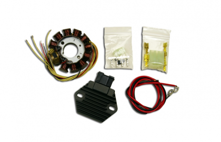 Electrice - Stator cu regulator de tensiune KTM EXC 2T 250 '08-'17 EXC 300 '08-'15, Freeride 250 '14, EXC 200 '13 -'15, SX 144 '08, HUSABERG 250/300 '11-'17 Husqvarna TE 250/300 '14