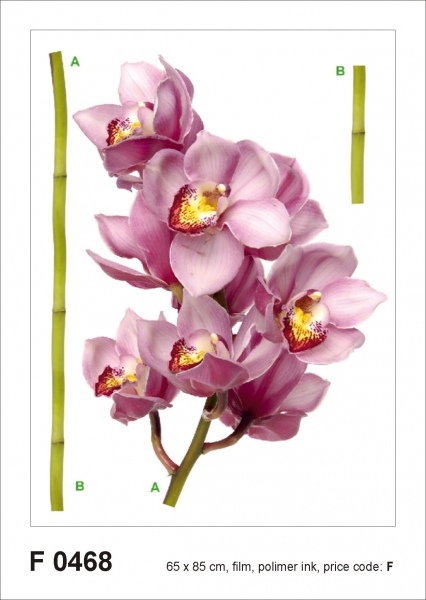 Sticker Orhidee - Orchid violet - 65x85cm - F0468 [1]
