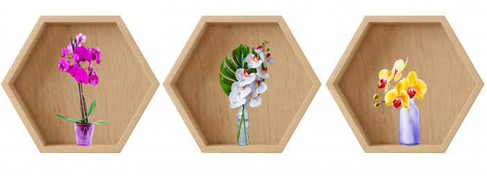 Sticker Bonsai 3D - Nise Hexagon Lemn - Orhidee [1]