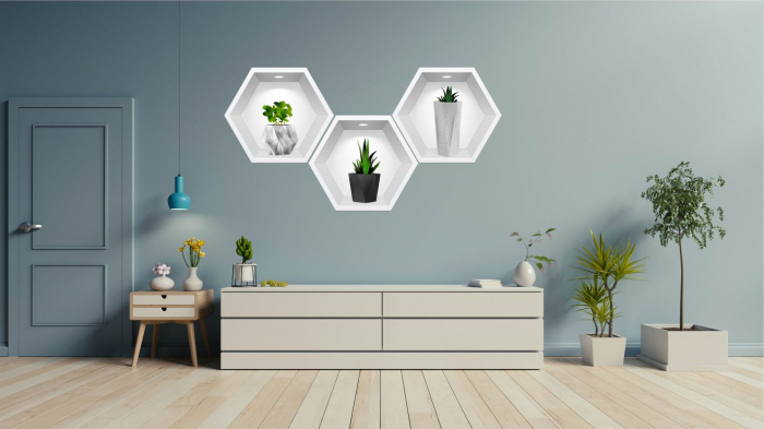 Sticker Plante 3D - Nise Hexagon in Perete [2]