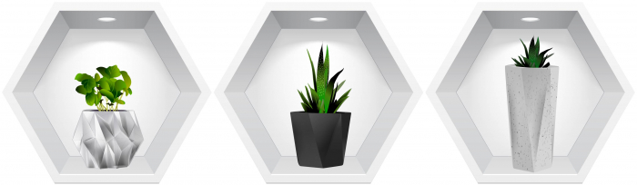 Sticker Plante 3D - Nise Hexagon in Perete [1]