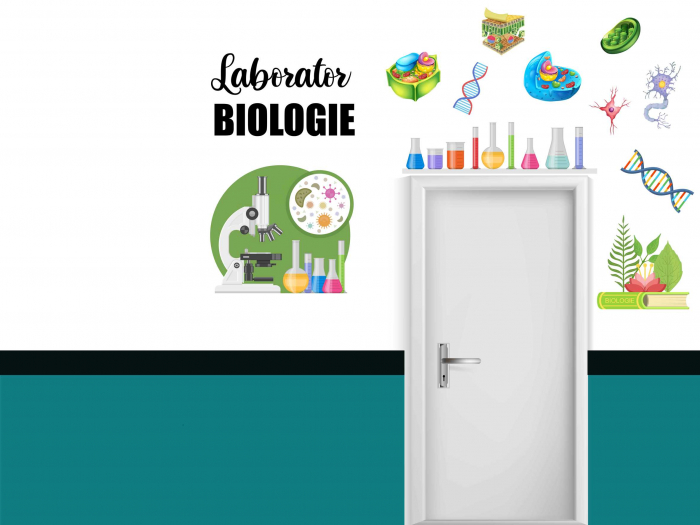 Autocolante laboratoare chimie, fizica, biologie, informatica [4]