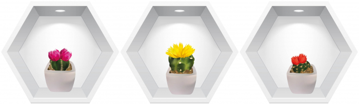 Sticker Cactusi 3D - Nise Hexagon in Perete [1]
