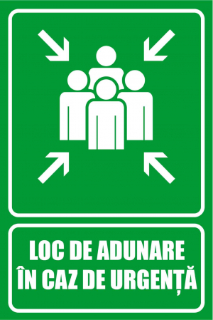 Stickere Decorative - Panou Loc de Adunare in caz de Urgenta - 20x30 cm