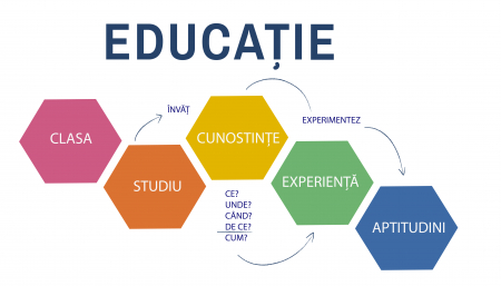 Stickere Decorative - Autocolant scoli - Educatie Hexagoane - 216x125 cm