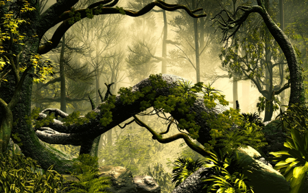Fototapet Natura - Fototapet Encahnted Forest