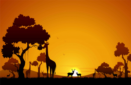 Fototapet Camere Copii - Fototapet Orange Safari