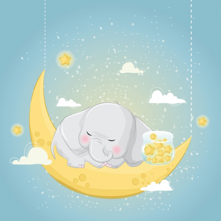 Fototapet - Fototapet - Elefant Somnoros