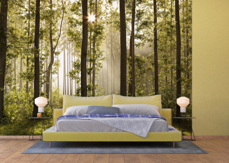 Fototapet Morning Forest [1]