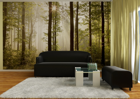 Fototapet Morning Forest [2]