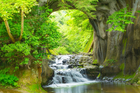 Fototapet Natura - Fototapet Cascada