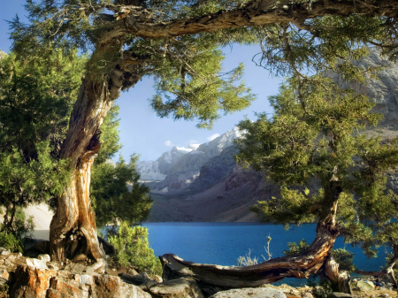 Fototapet Natura - Fototapet Lac de Munte