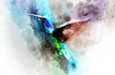 Fototapet Design - Fototapet Abstract Colibri