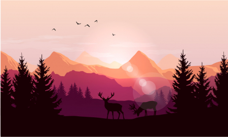Fototapet Natura - Fototapet Sunset Forest
