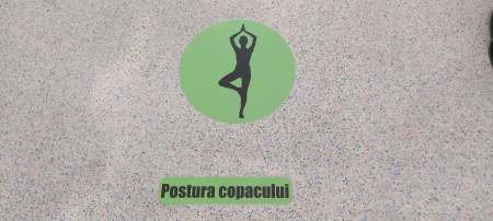 Autocolant Jocuri de Podea [1]