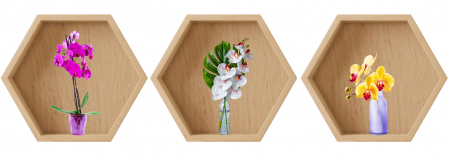 Stickere Decorative - Sticker Orhidee 3D - Nise Hexagon Lemn