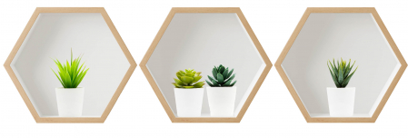 Stickere Decorative - Sticker Suculente 3D - Nise Hexagon Lemn