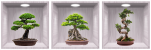 Stickere Perete Pentru Camera De Zi - Sticker Bonsai 3D - Nise Lemn