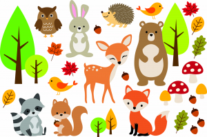 Stickere Fluturi, Animale, Pasari Si Pesti - Sticker camera bebe - Animale din padure