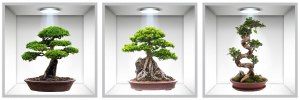 Stickere Decorative - Sticker Bonsai 3D - Nise Perete