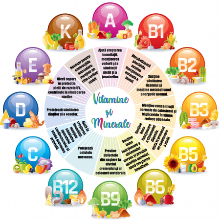 Stickere Decorative - Sticker scoli, Vitamine - 125x125 cm