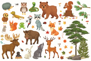 Stickere Fluturi, Animale, Pasari Si Pesti - Sticker pentru Copii - Animalele Padurii