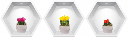 Stickere Decorative - Sticker Cactusi 3D - Nise Hexagon in Perete