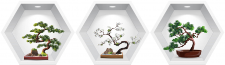 Stickere Decorative - Sticker Bonsai 3D - Nise Hexagon in Perete