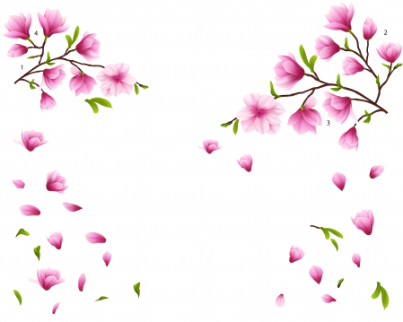 Sticker Flori de Magnolie - 60x90 cm [1]