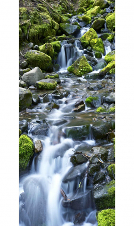 Sticker Scari - Cascada si Stanci cu Muschi Verde - 13 folii de 18x100 cm [1]