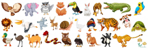 Stickere Fluturi, Animale, Pasari Si Pesti - Sticker Animale - 30x90 cm