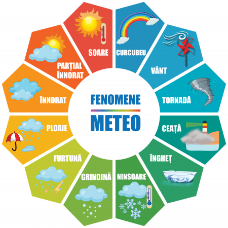 Stickere Decorative - Autocolant Fenomene Meteo Floare - 125x125 cm