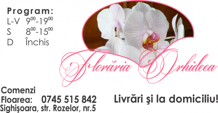 Carti de vizita personalizate - fata