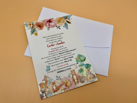 Invitatii de botez - Invitatie botez cod N24 x M316