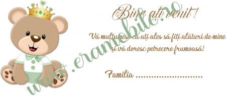 Plicuri pentru bani - Plic bani botez Teddy bear