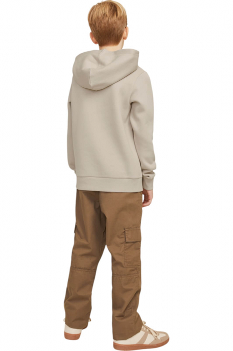 Hanorac JACK &JONES Logo Sweat Hood JNR - 12258823-Moonbeam [2]