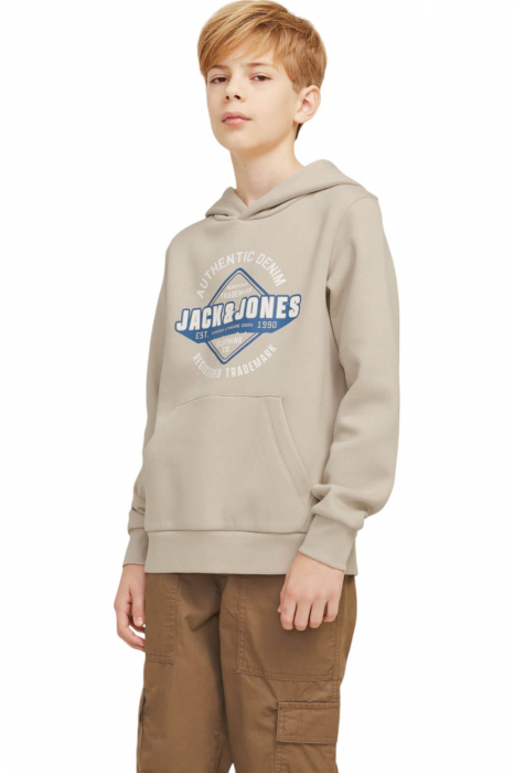 Hanorac JACK JONES Logo Sweat Hood JNR - 12258823-Moonbeam