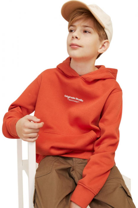Hanorac JACK &JONES Vesterbro PO Hood JNR - 12242469-Summer Fig [3]