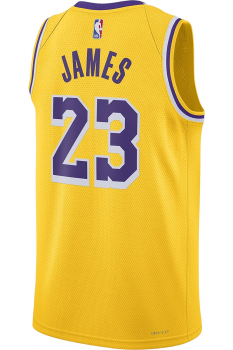 Maieu NIKE LA Lakers Swingman Icon 22 - DN2009-733 [2]