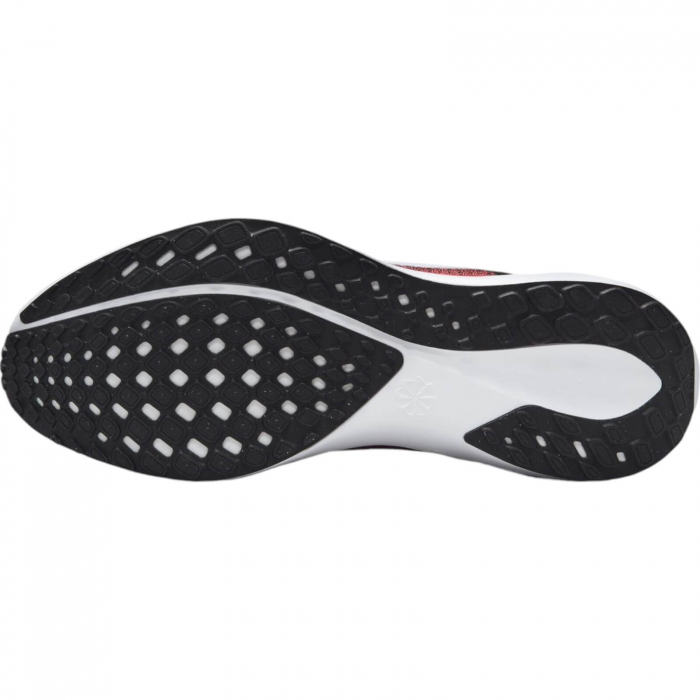 NIKE Pegasus 41 - FD2722-003 [5]