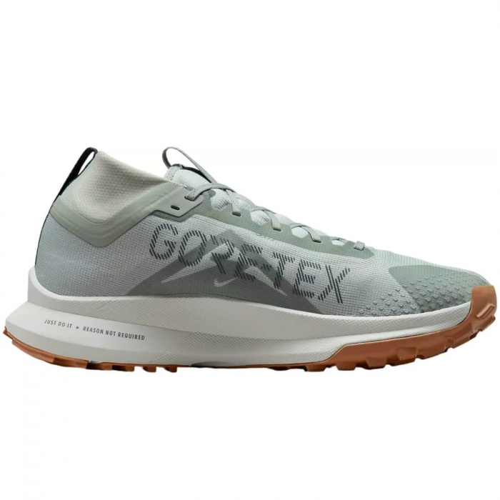 NIKE Pegasus Trail 4 GTX - DJ7926-304 [2]