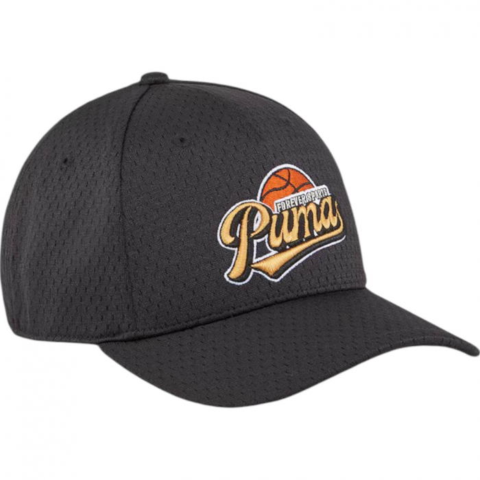 Sapca PUMA Hometown Heroes - 025143-01